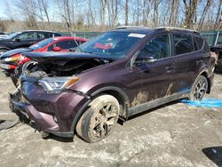 Salvage cars for sale from Copart Candia, NH: 2016 Toyota Rav4 SE