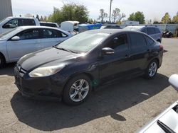 Salvage cars for sale from Copart Woodburn, OR: 2014 Ford Focus SE