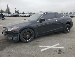 Honda Accord exl Vehiculos salvage en venta: 2010 Honda Accord EXL