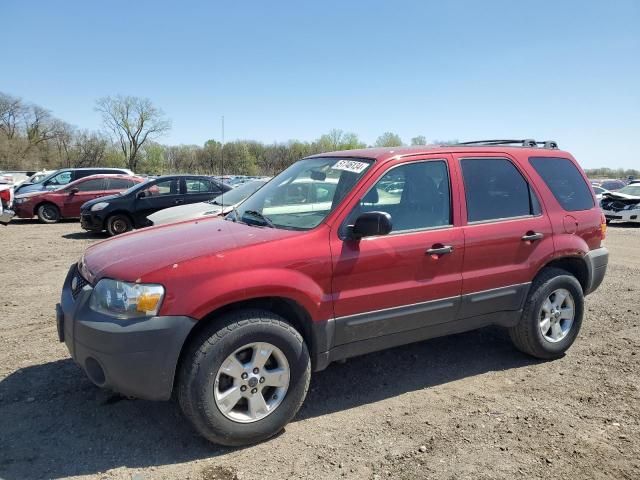 2005 Ford Escape XLT