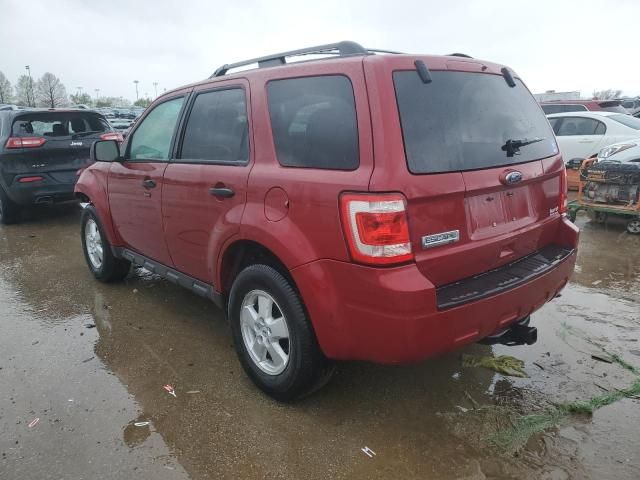 2010 Ford Escape XLT