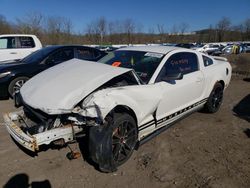 Salvage cars for sale at Marlboro, NY auction: 2005 Ford Mustang