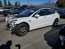 Salvage cars for sale from Copart Rancho Cucamonga, CA: 2021 Tesla Model 3