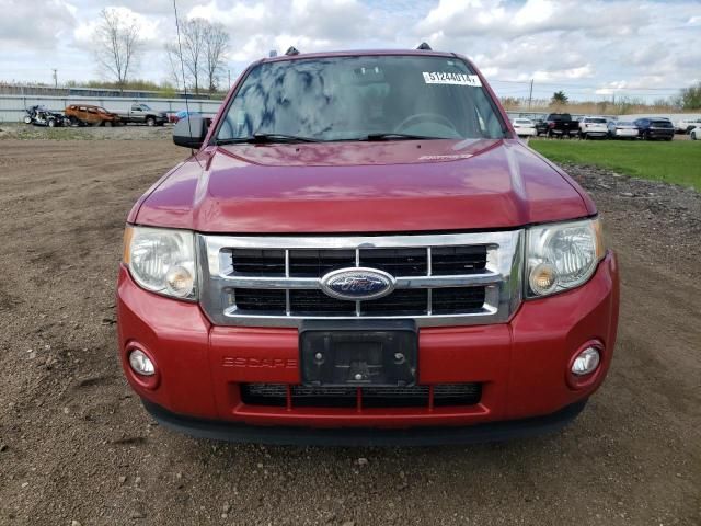 2010 Ford Escape XLT