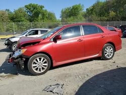 Salvage cars for sale at Waldorf, MD auction: 2010 Toyota Corolla Base
