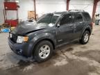 2008 Ford Escape HEV