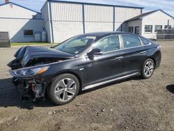 Hyundai Sonata plug-in Hybrid salvage cars for sale: 2019 Hyundai Sonata PLUG-IN Hybrid