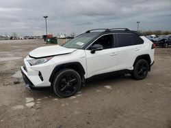 Toyota Rav4 XSE salvage cars for sale: 2019 Toyota Rav4 XSE