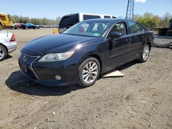 Salvage cars for sale at Windsor, NJ auction: 2013 Lexus ES 300H