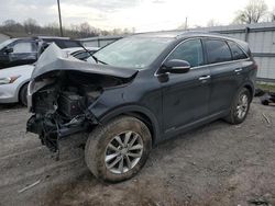 Salvage cars for sale at York Haven, PA auction: 2017 KIA Sorento LX