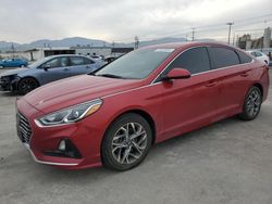 Salvage cars for sale at Sun Valley, CA auction: 2019 Hyundai Sonata SE