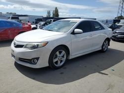 Salvage cars for sale from Copart Hayward, CA: 2013 Toyota Camry L