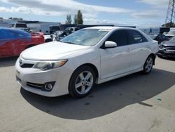 Vehiculos salvage en venta de Copart Hayward, CA: 2013 Toyota Camry L