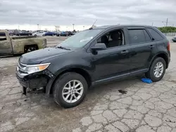 Salvage cars for sale at Indianapolis, IN auction: 2013 Ford Edge SE