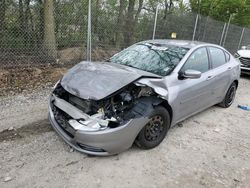 Salvage cars for sale at Cicero, IN auction: 2014 Dodge Dart SE