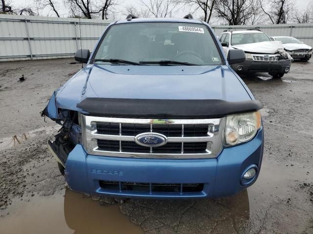 2009 Ford Escape XLT