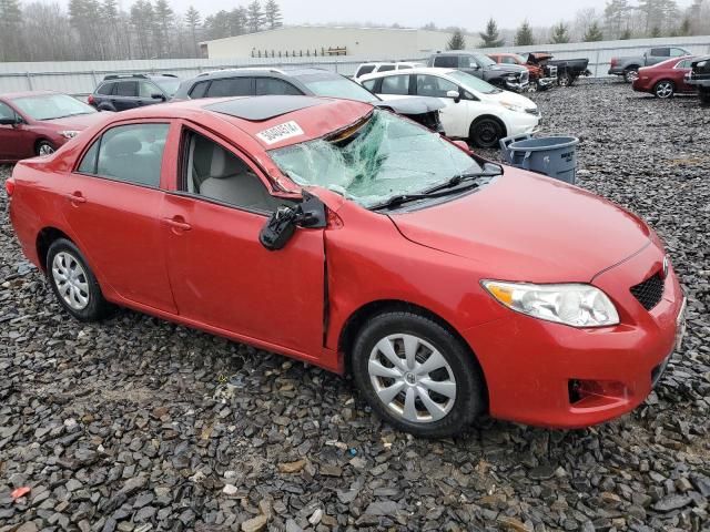 2010 Toyota Corolla Base