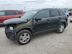 Salvage cars for sale at Indianapolis, IN auction: 2010 Honda CR-V EX