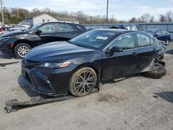 Salvage cars for sale at York Haven, PA auction: 2022 Toyota Camry SE