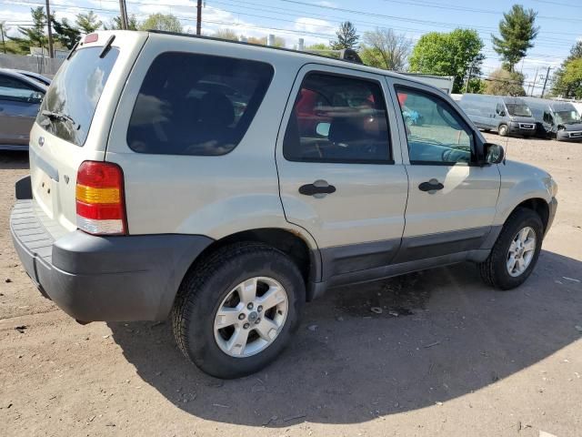 2005 Ford Escape XLT