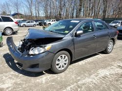 Salvage cars for sale from Copart Candia, NH: 2010 Toyota Corolla Base