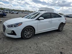 Salvage cars for sale at Memphis, TN auction: 2019 Hyundai Sonata SE