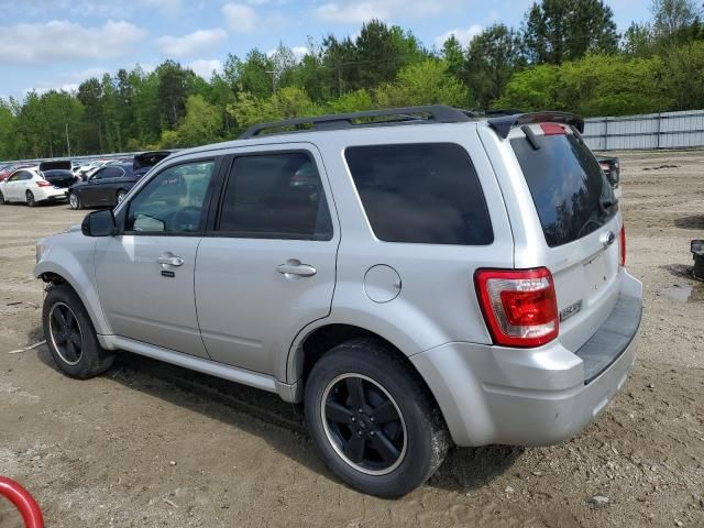 2009 Ford Escape XLT