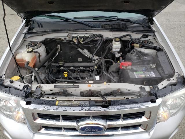 2009 Ford Escape XLT