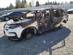 Salvage cars for sale at Graham, WA auction: 2019 Honda Pilot Elite