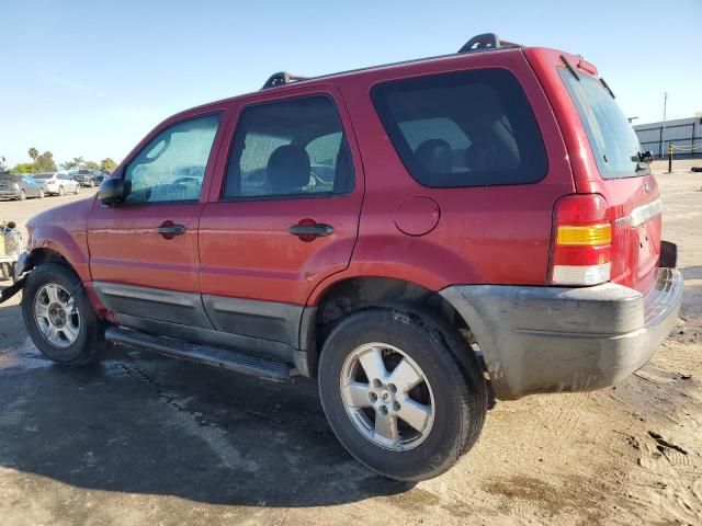 2004 Ford Escape XLT