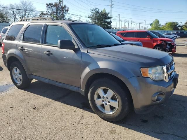 2010 Ford Escape XLT