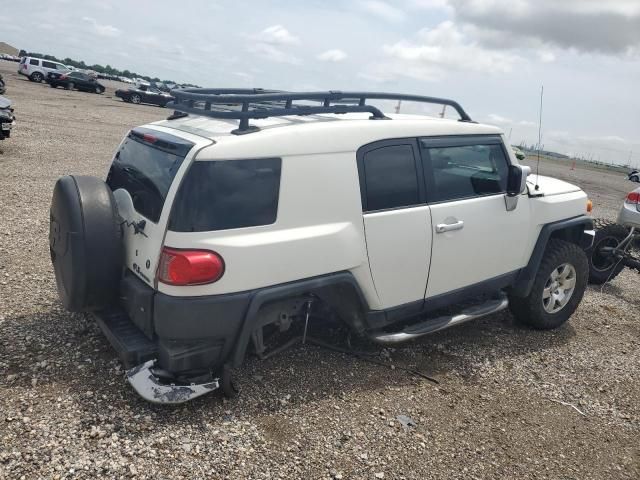 2010 Toyota FJ Cruiser