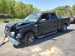 Salvage trucks for sale at Finksburg, MD auction: 2004 Ford F150