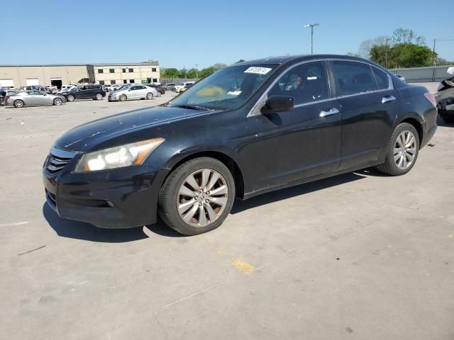 2011 Honda Accord EXL