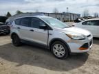 2015 Ford Escape S