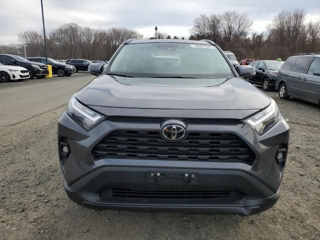 2023 Toyota Rav4 XLE Premium