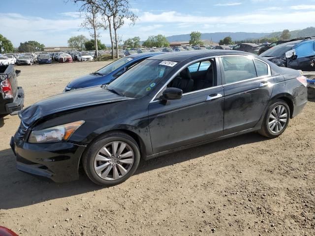 2011 Honda Accord EXL