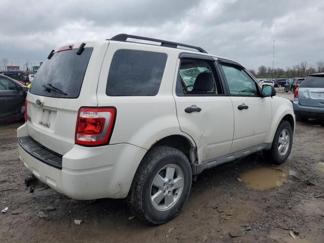 2009 Ford Escape XLT