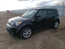 Salvage cars for sale at Greenwood, NE auction: 2016 KIA Soul +