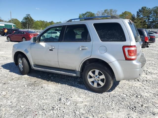 2011 Ford Escape Limited