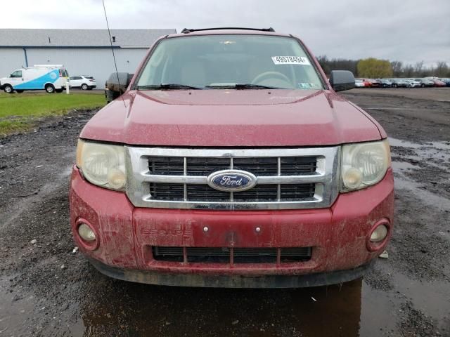 2010 Ford Escape XLT