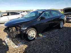 Salvage cars for sale at Magna, UT auction: 2016 Toyota Camry LE