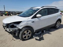 Salvage cars for sale at Nampa, ID auction: 2014 Ford Escape SE