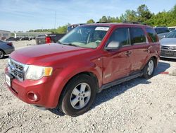 Salvage cars for sale from Copart Memphis, TN: 2008 Ford Escape XLT
