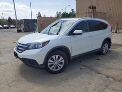 Salvage cars for sale at Gaston, SC auction: 2013 Honda CR-V EXL