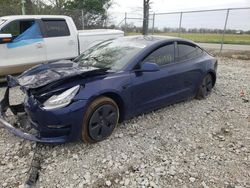 Salvage cars for sale at Cicero, IN auction: 2023 Tesla Model 3