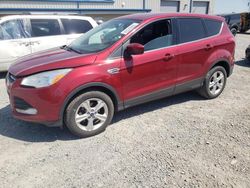 Salvage cars for sale at Earlington, KY auction: 2013 Ford Escape SE