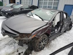 Salvage cars for sale from Copart Candia, NH: 2021 Toyota Camry SE