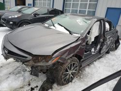 Toyota Camry SE salvage cars for sale: 2021 Toyota Camry SE