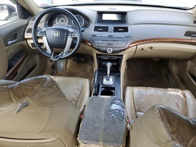 2009 Honda Accord EXL